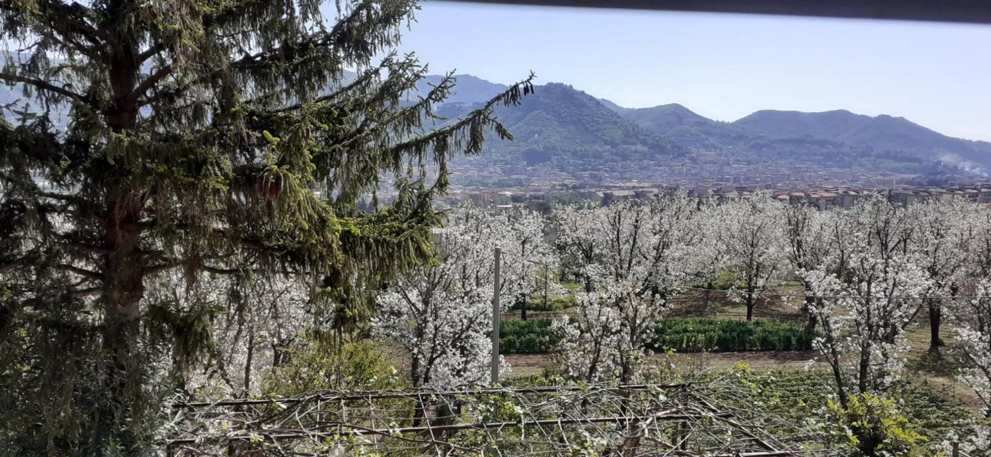Lanovella Villa Cava De' Tirreni Ngoại thất bức ảnh